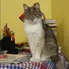 Отзыв от Аня Белова